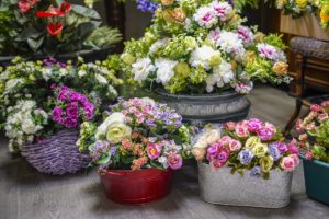 Il Faggio negozio di vendita piante e fiori artificiali Torino e Online