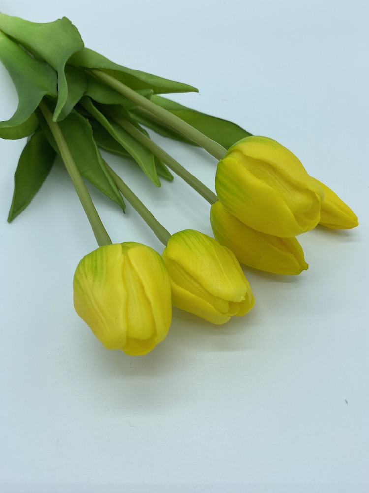 Mazzo tulipani Gialli