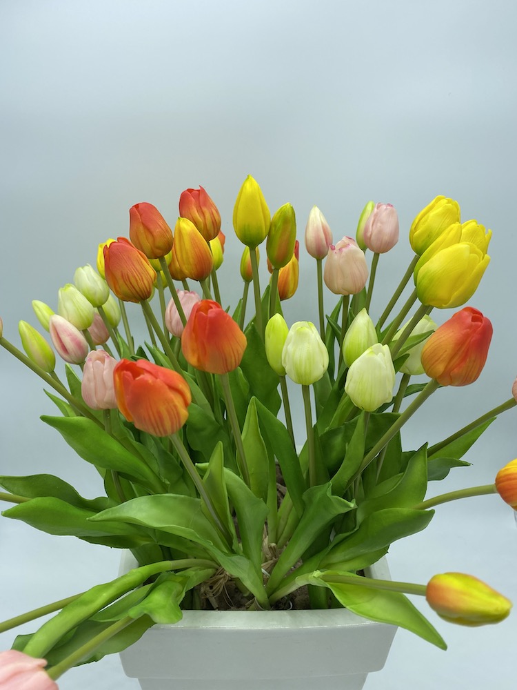 Mazzo tulipani Misti arancioni gialli e rosa